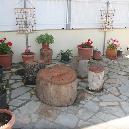 Daniel Kallithea (Chalkidiki)