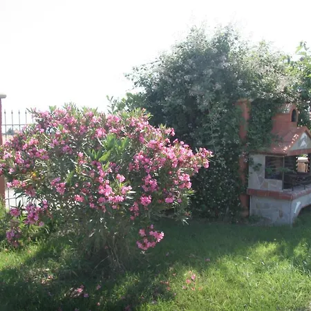 Daniel Kallithea (Chalkidiki)